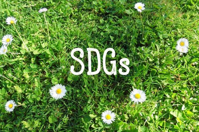 SDGs